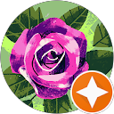 Angela Faulkner profile picture